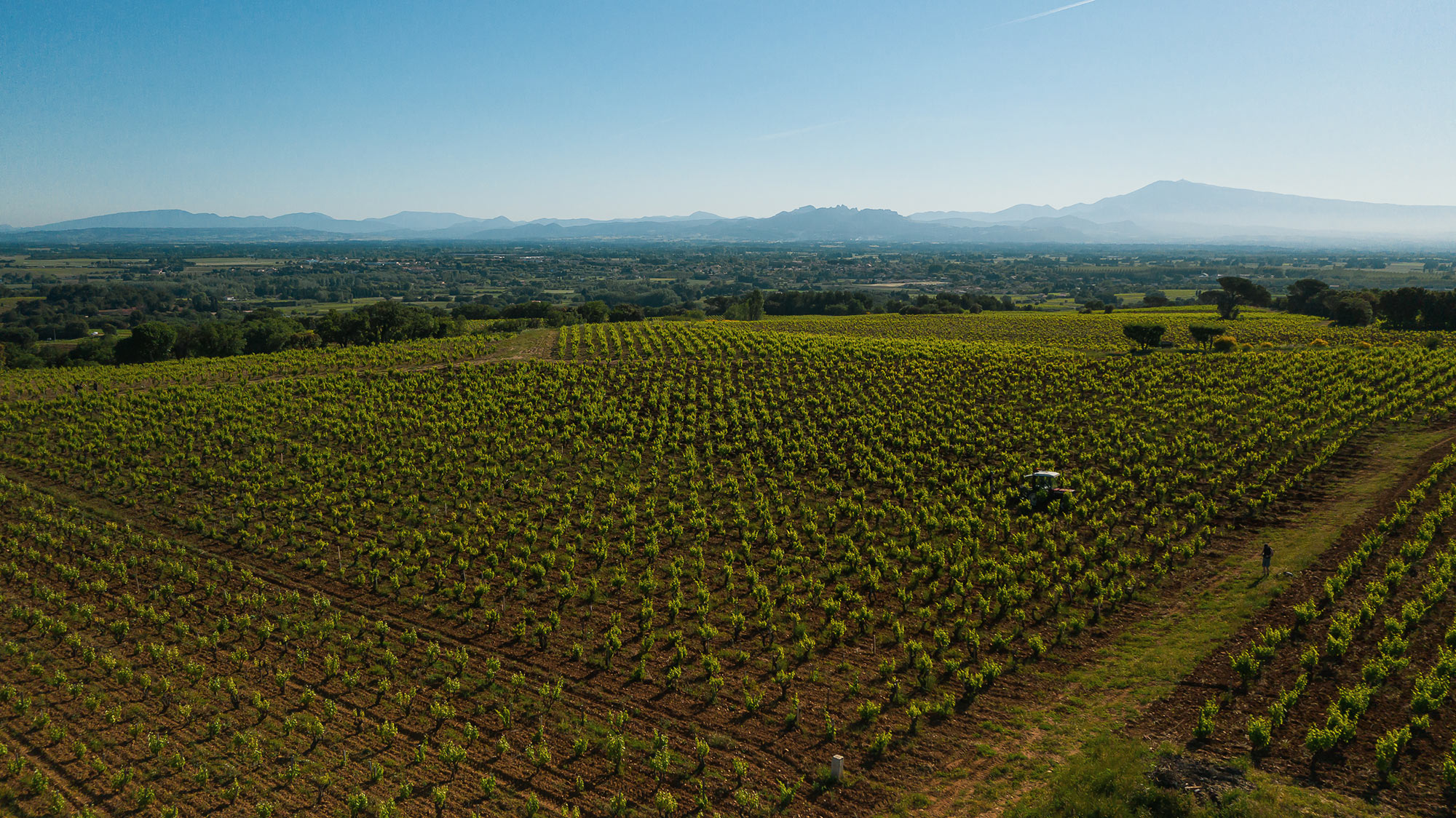 Vue aérienne des vignes du Domaine la Barroche