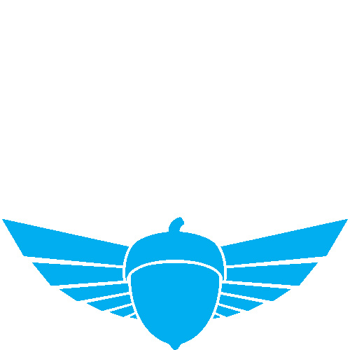 logo squirrel wingsuit